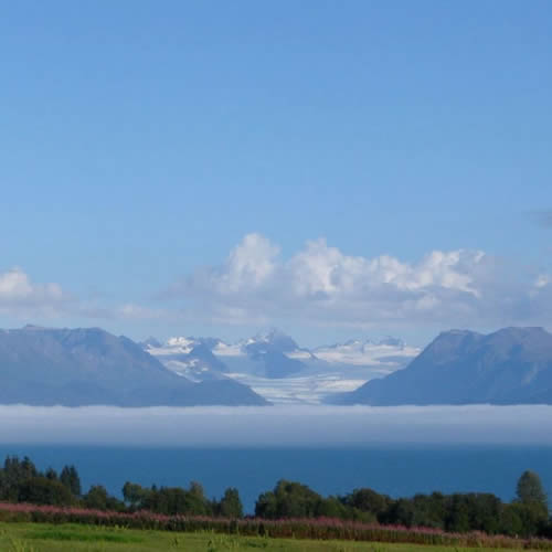 view from homer alaska