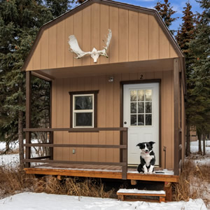 dog friendly alaska cabin